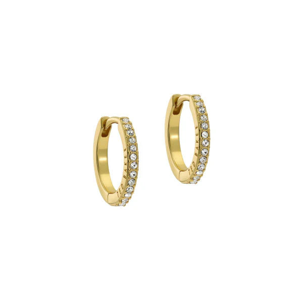 Heplie Gold Tone Crystal Hoop Earrings