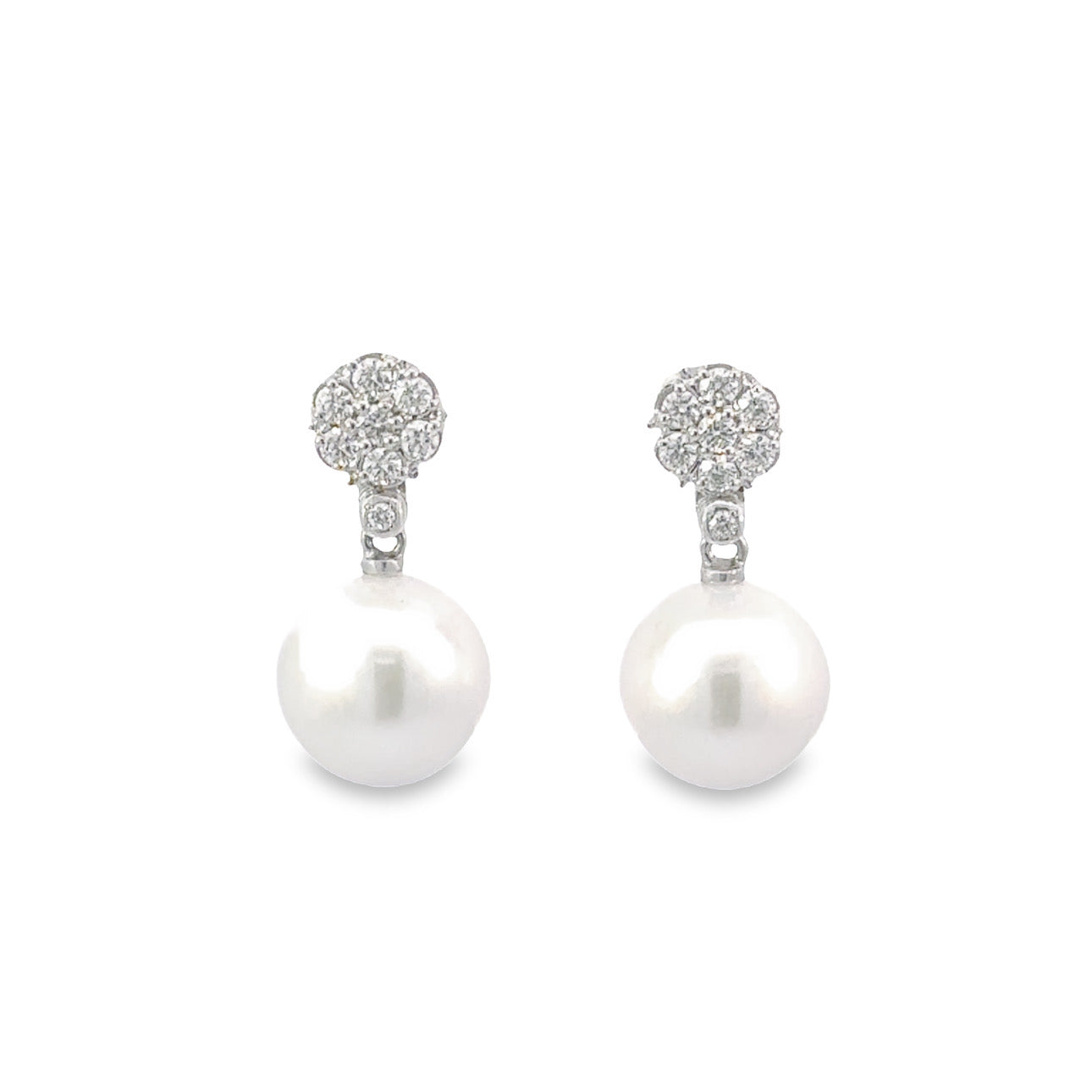 Starlight Akoya Pearl Earrings – Cunningham Jewellers