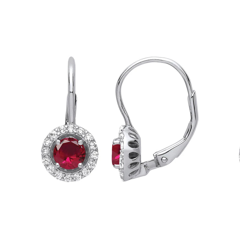 Red Circle of Sparkle Drop Earrings
